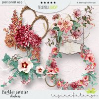 BELLE AMIE BUNDLE