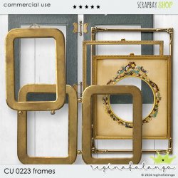 CU 0223 FRAMES