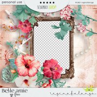 BELLE AMIE BUNDLE