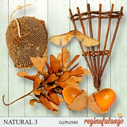 NATURAL 3 NATURAL 3
