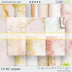 CU 851 PAPERS