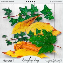NATURAL 11 NATURAL 11