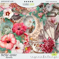 BELLE AMIE BUNDLE