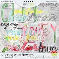 AMERICAN WILD FLOWER BUNDLE