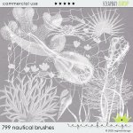 CU 799 NAUTICAL BRUSHES CU 799 NAUTICAL BRUSHES