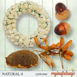 NATURAL 4 NATURAL 4