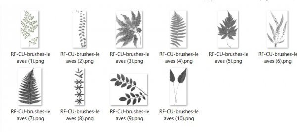 CU 830 BRUSHES LEAVES - Click Image to Close
