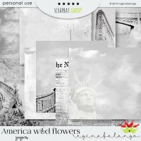 AMERICAN WILD FLOWER BUNDLE