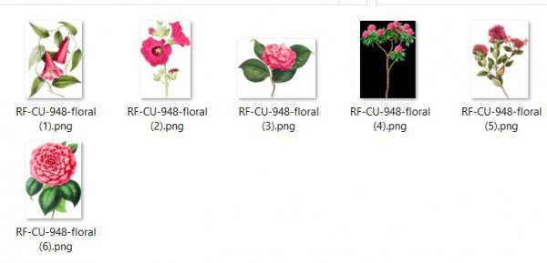 CU 951 BUNDLE FLORAL - Click Image to Close