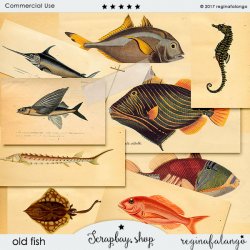 OLD FISH CU OLD FISH CU