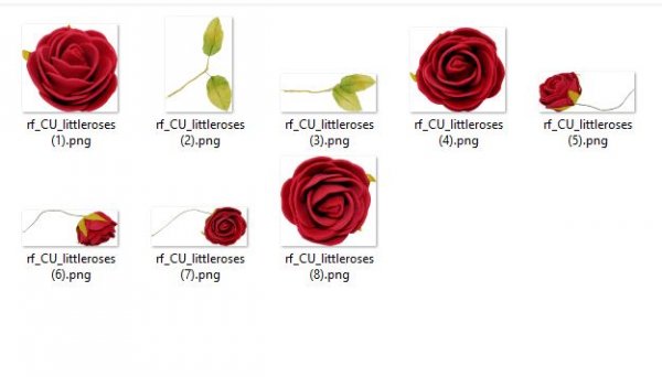 LITLES ROSES - Click Image to Close
