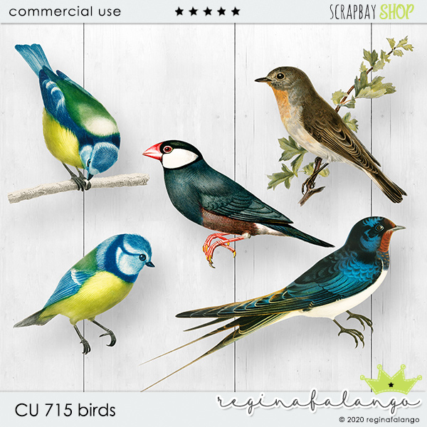 CU 715 BIRDS - Click Image to Close
