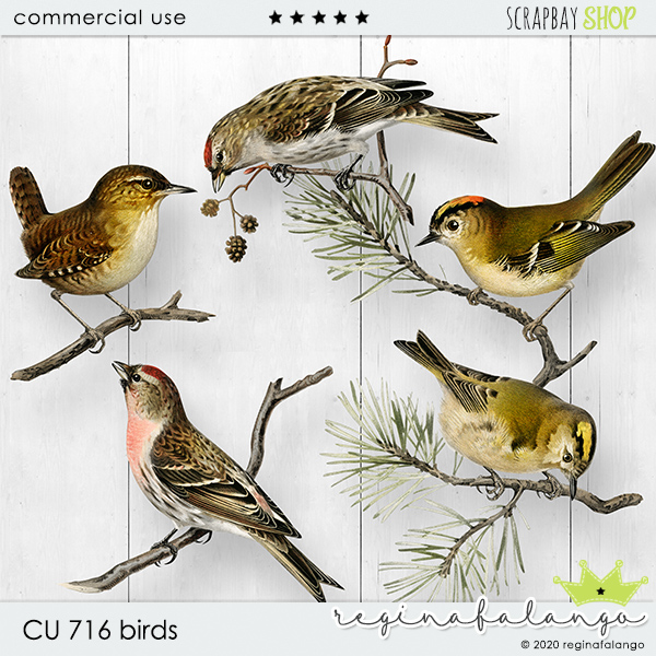 CU 716 BIRDS - Click Image to Close