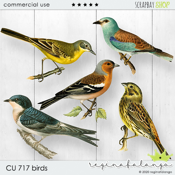 CU 717 BIRDS - Click Image to Close