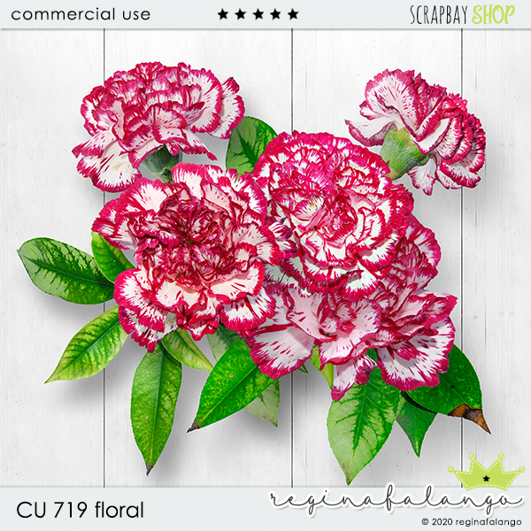 CU 719 FLORAL