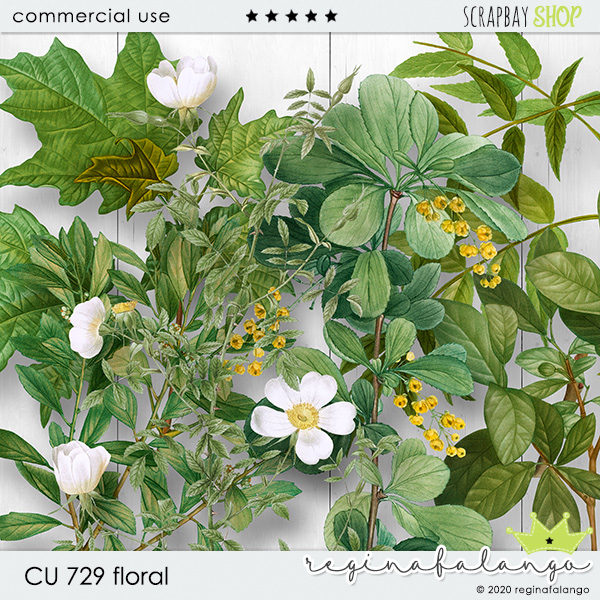 CU 729 FLORAL