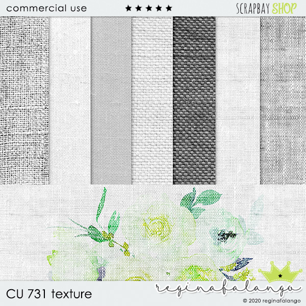 CU 731 TEXTURES CANEVAS - Click Image to Close