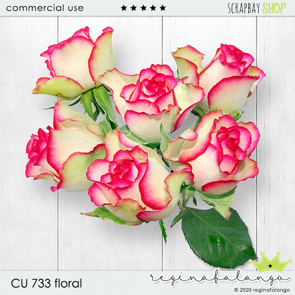 CU 733 FLORAL ROSES