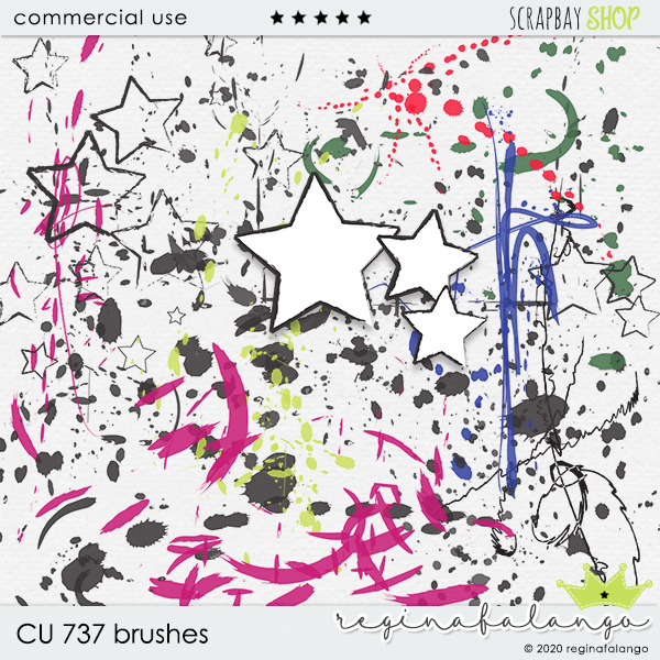 CU 737 BRUSHES