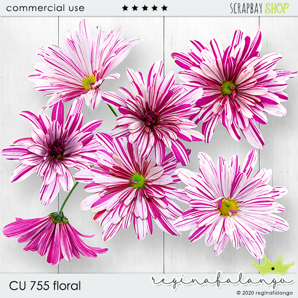 CU 755 FLORAL - Click Image to Close