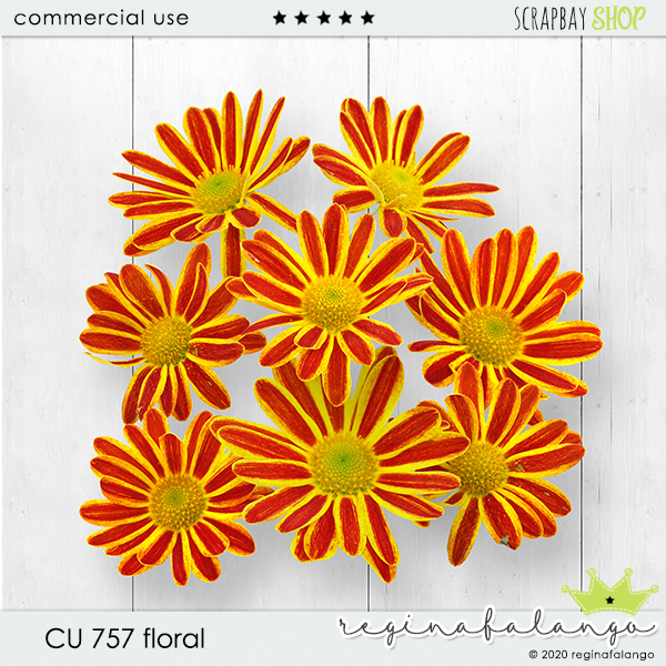 CU 757 FLORAL - Click Image to Close