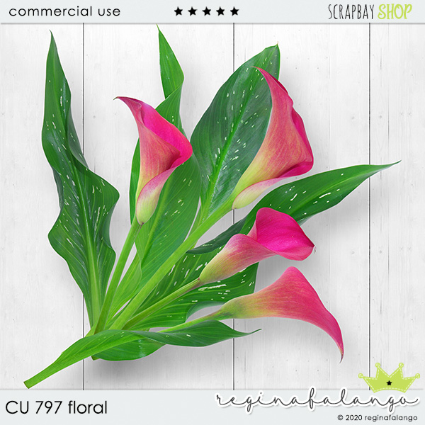 CU 797 FLORAL - Click Image to Close