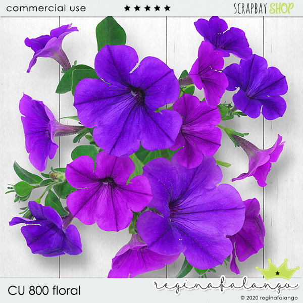 CU 800 FLORAL - Click Image to Close