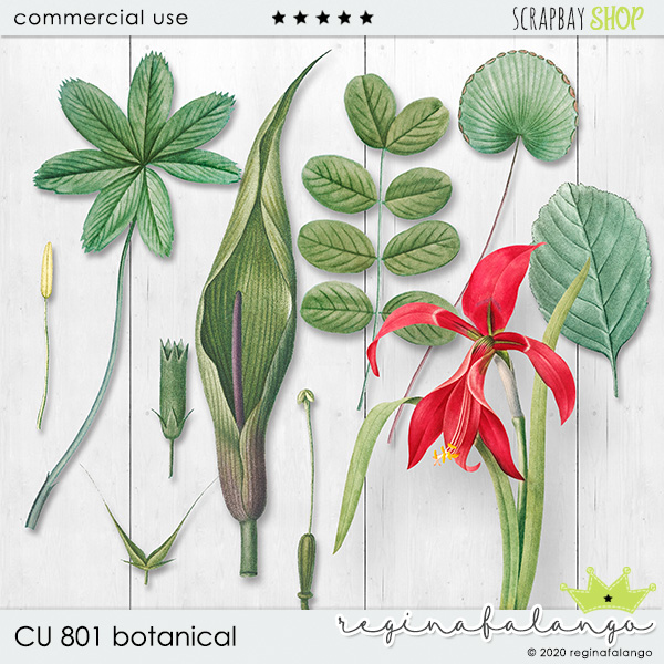 CU 801 BOTANICAL - Click Image to Close