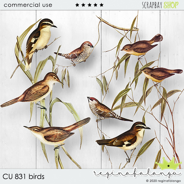 CU 831 BIRDS - Click Image to Close