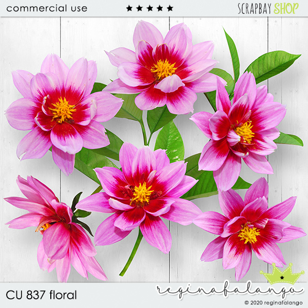 CU 837 FLORAL - Click Image to Close