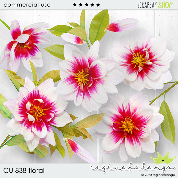 CU 838 FLORAL - Click Image to Close