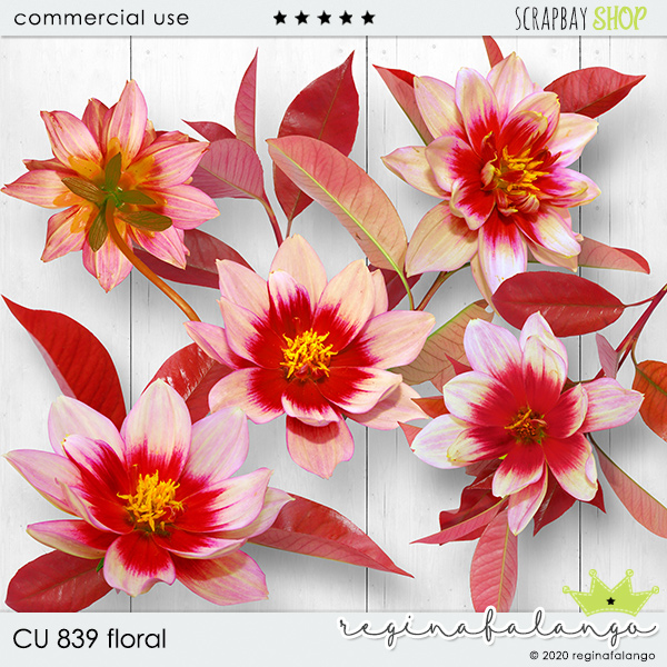 CU 839 FLORAL