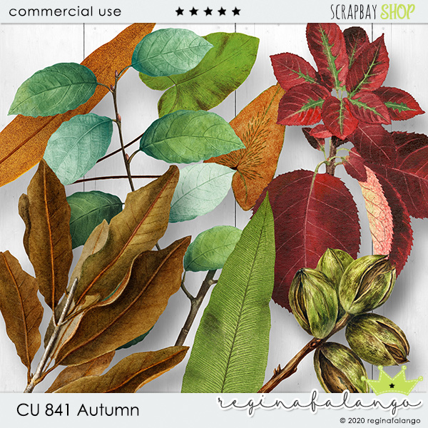 CU 841 AUTUMN