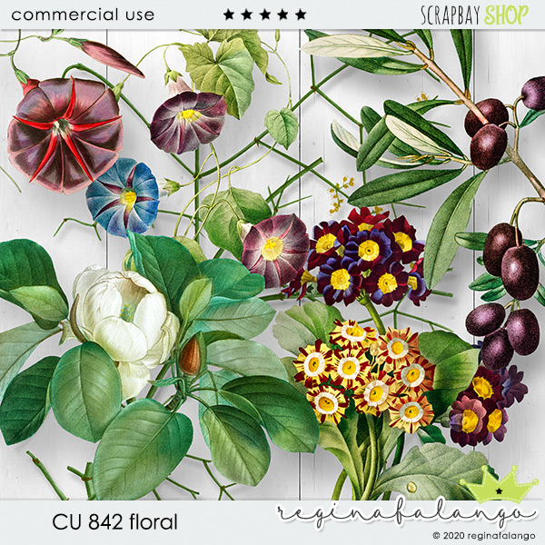 CU 842 FLORAL - Click Image to Close