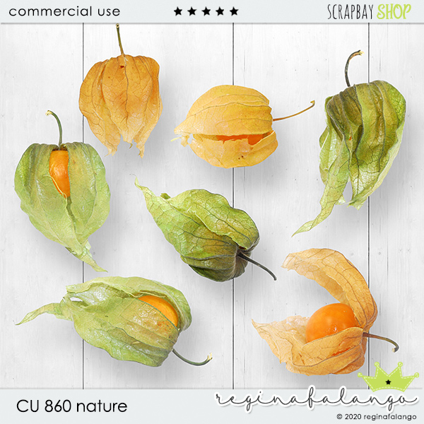 CU 860 NATURE - Click Image to Close