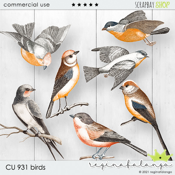 CU 931 BIRDS - Click Image to Close
