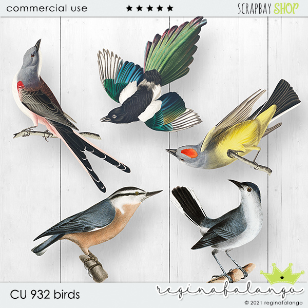 CU 932 BIRDS - Click Image to Close