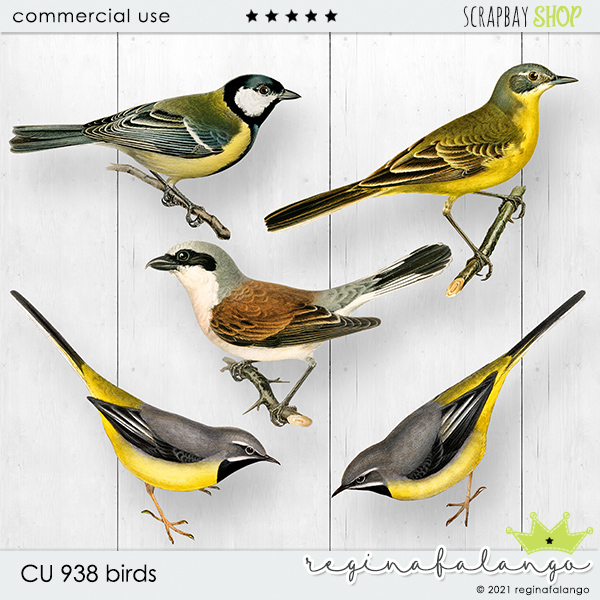 CU 938 BIRDS - Click Image to Close