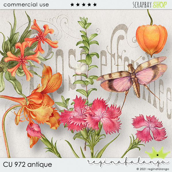 CU 972 ANTIQUE - Click Image to Close