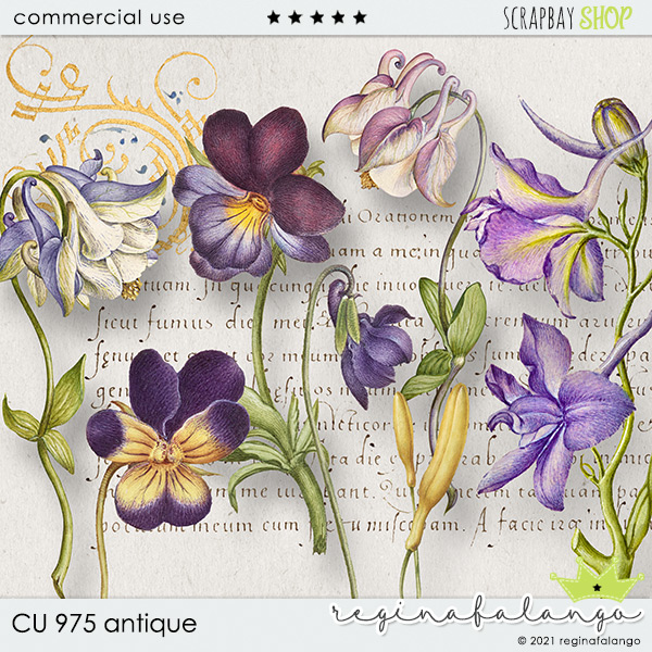 CU 975 ANTIQUE - Click Image to Close