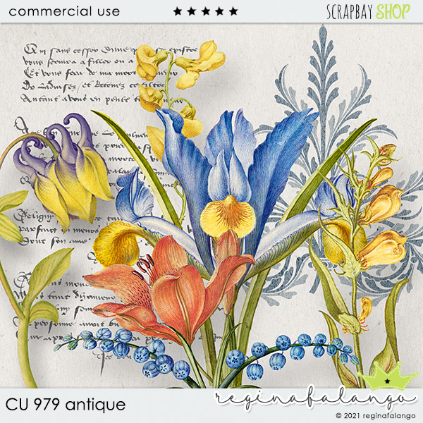 CU 979 ANTIQUE