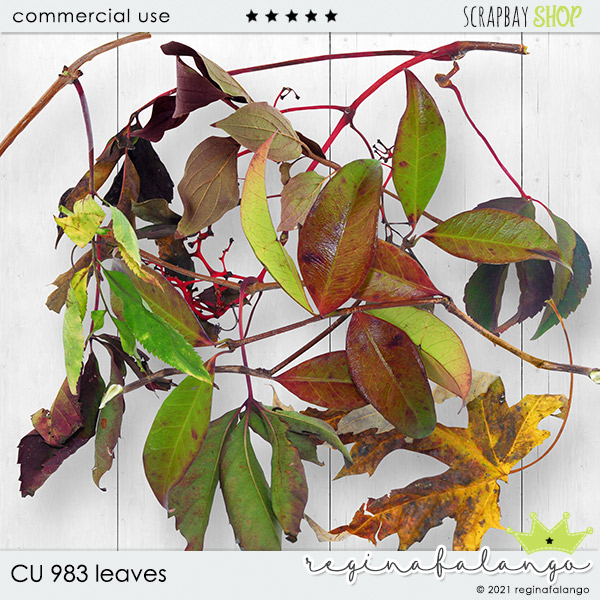 CU 983 LEAVES - Click Image to Close