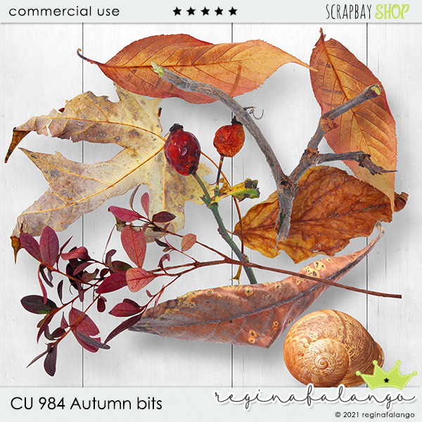 CU 984 AUTUMN BITS