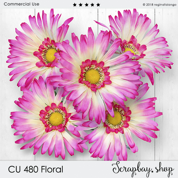 CU 480 FLORAL