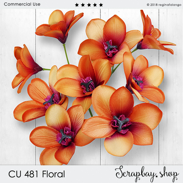 CU 481 FLORAL - Click Image to Close