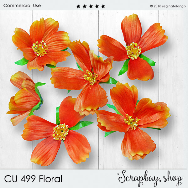 CU 499 FLORAL - Click Image to Close