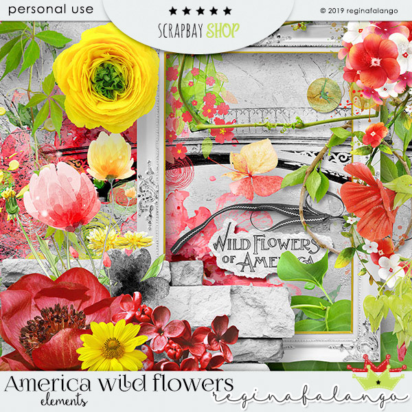 AMERICAN WILD FLOWER BUNDLE - Click Image to Close