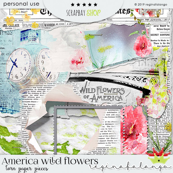 AMERICAN WILD FLOWER BUNDLE - Click Image to Close