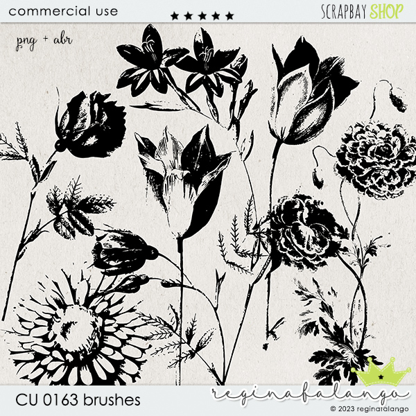 CU 0163 BRUSHES - Click Image to Close