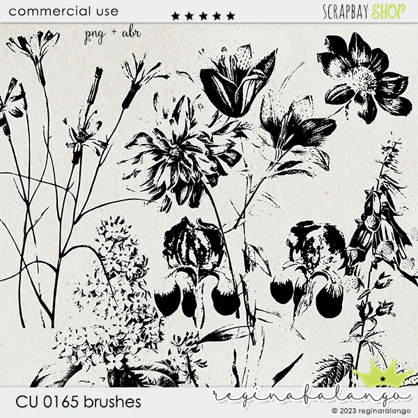 CU 0165 BRUSHES - Click Image to Close